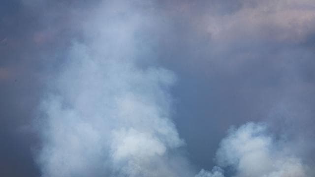 Großeinsatz: Feuer im Müritz-Nationalpark eingekesselt