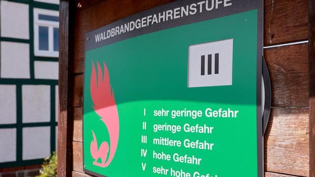 Trockenheit und Hitze: Waldbrandgefahr in Thüringen steigt wieder an