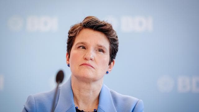 BDI: Industrieverband warnt vor Regierungsbeteiligung von AfD