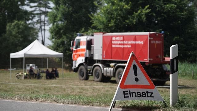 Brände: Waldbrand: Regen entspannt Lage im Müritz-Nationalpark
