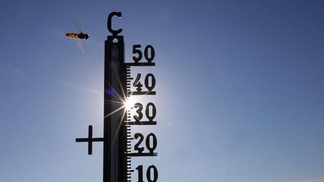 Wettervorhersage: Bis zu 38 Grad: Hitze und Gewitter im Wochenverlauf
