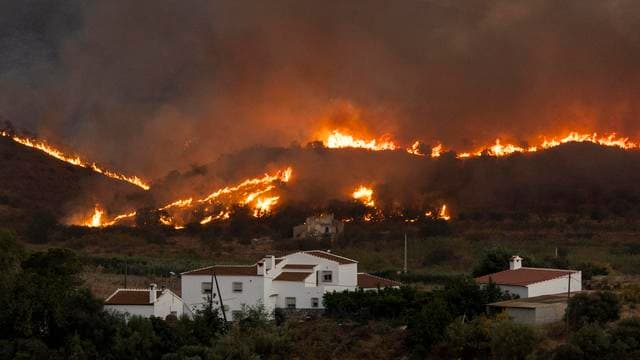 Waldbrand in Almería: Feuerwehr bringt Waldbrand in Andalusien weitgehend unter Kontrolle