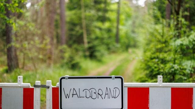 Höchstes Risiko am Donnerstag: Hohe Waldbrandgefahr in Bayern – Hitzewelle wird heftiger