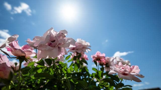 Wetter: Es bleibt heiß in Hessen