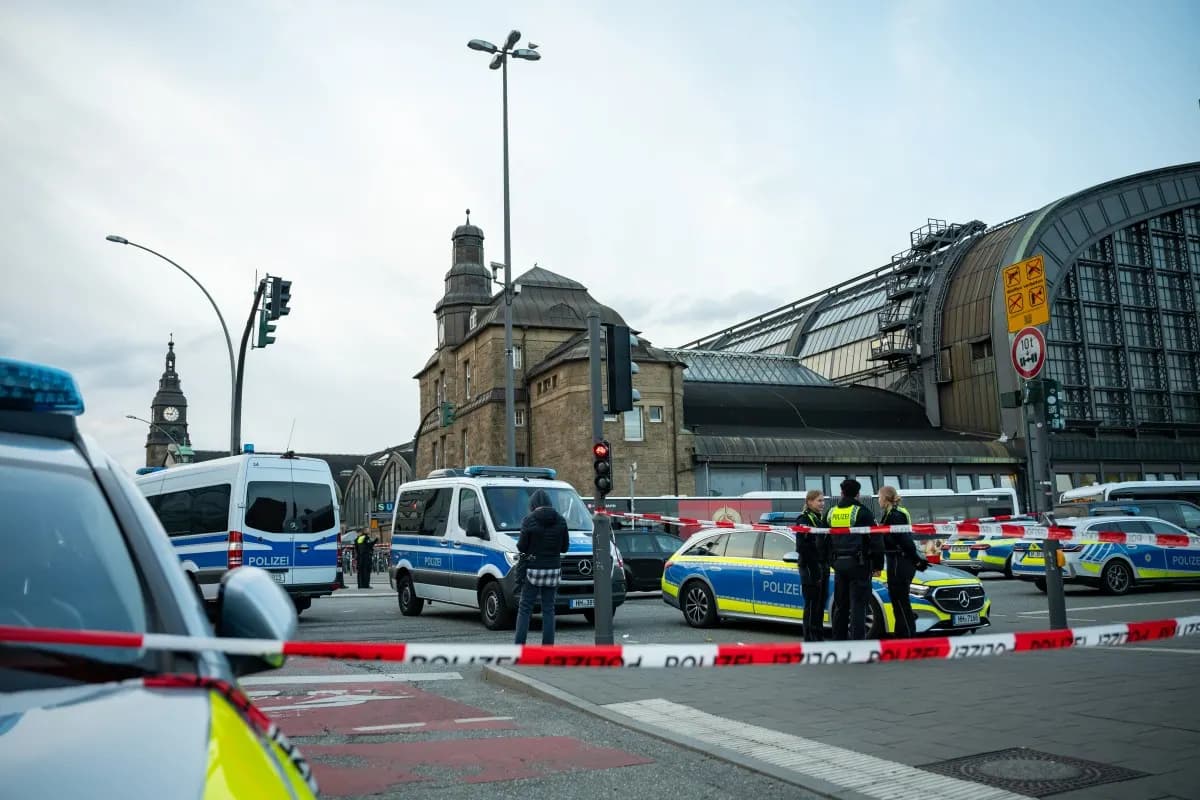Woman arrested after 17 injured in stabbing at Hamburg station