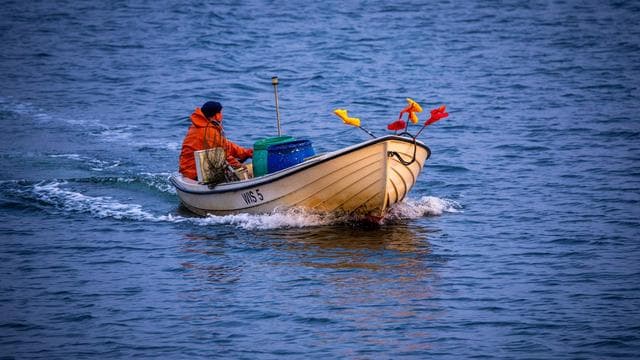 Fischerei in der Ostsee: EU-Agrarminister halten an Ausnahme für Ostseefischer fest