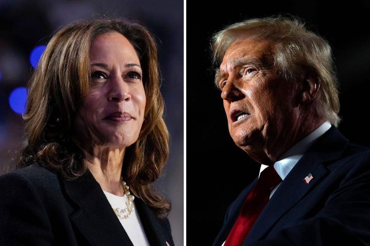 What will the US election results mean for Germany?