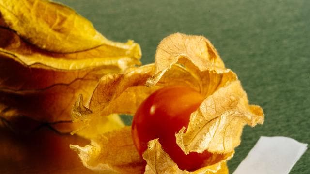Inflation: Die Preise steigen für alle, die Last tragen wenige