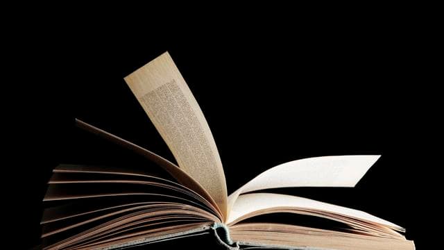 Sachbuch-Bestenliste: Die Sachbuch-Bestenliste für November 2026