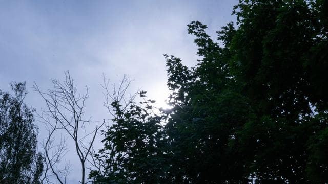 Wetter am Wochenende: Regen folgt auf Sonne