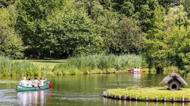 Eichenprozessionsspinner: Erste Wasserroute im Spreewald nach Sperrungen wieder offen