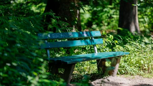 Elbvertiefung: Der tägliche Newsletter aus Hamburg: Wo steht die nächste Parkbank? Einen Mausklick entfernt