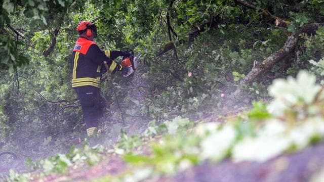 Kurze Sperrungen: Unwetter: Bäume stürzen auf Autobahnen in Bayern