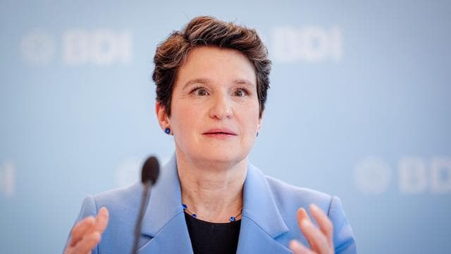 Landtagswahlen: Industrieverband: Regierungsbeteiligung der AfD wäre «fatal»