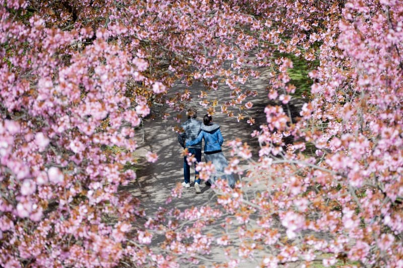 Everything that changes in Germany in April 2025