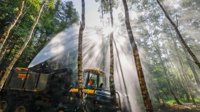 Größeres Risiko für Feuer: Drohen in NRW verheerende Waldbrände wie in Spanien?