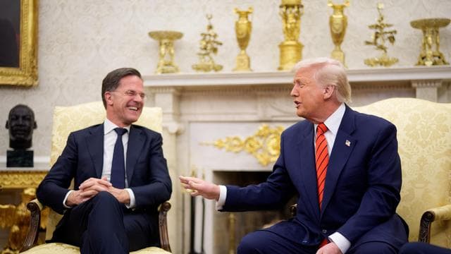 Nato und USA: Der US-Präsident fordert Grönland, der Nato-Chef lacht