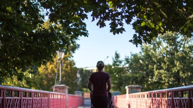 Reform des Unterhaltsvorschusses: Welche Folgen die Kürzung des Unterhaltsvorschusses hat