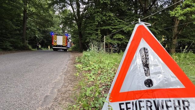 Kampf gegen Flammen: Feuerwehren: Brauchen mehr Technik für Waldbrand-Einsätze
