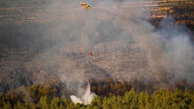 Südspanien: Zwölf Tote durch Waldbrand in Andalusien