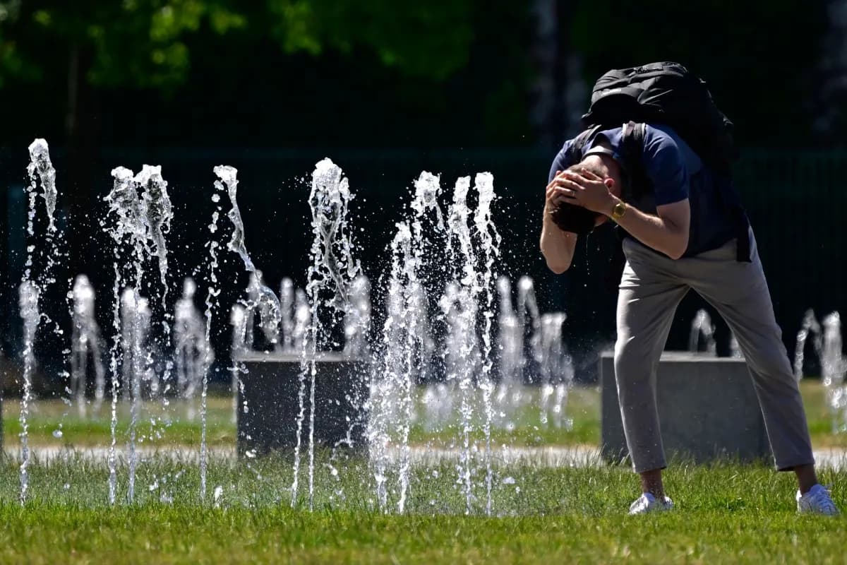 Fifteen apps to help you make the most of summer in Germany