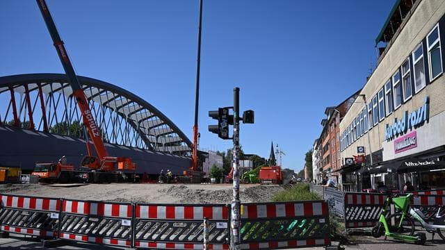 Elbvertiefung: Der tägliche Newsletter aus Hamburg: Warum 86 Bäume für eine Brücke weichen müssen