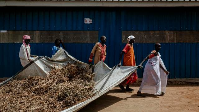 Hunger: Welthungerhilfe beklagt Gefährdung ihrer Arbeit durch Mittelkürzungen