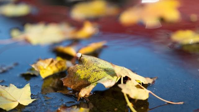 Wetter: Erst trocken, dann wechselhaft und windig