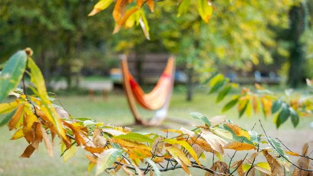 Wetter: Erst trocken, dann wechselhaft - milder Dienstag