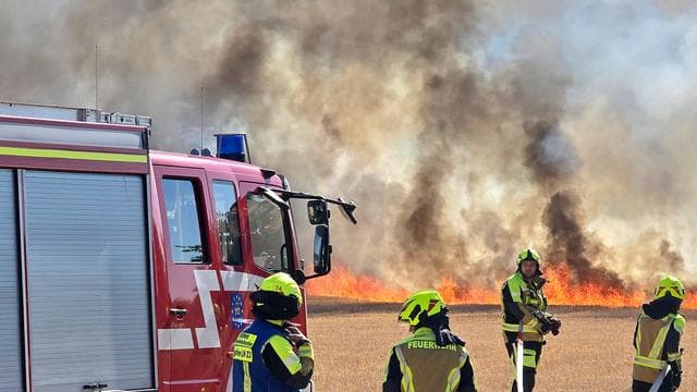 Wetter: Weiter heiß und trocken - Waldbrandgefahr ist hoch