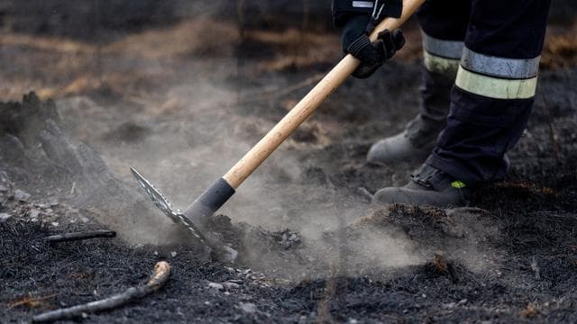Brände: Feuer an Waldrand nahe Baumholder