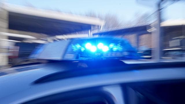 Kriminalität: Hund greift Dackel an – Polizei in Malchin beleidigt