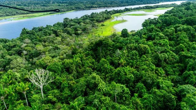 Brasilien: Waldbrände im Amazonasgebiet 2025 auf tiefstem Stand seit Jahrzehnten